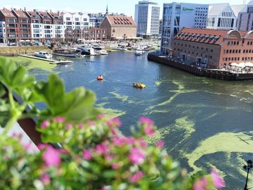 Apartamencik Siennicka